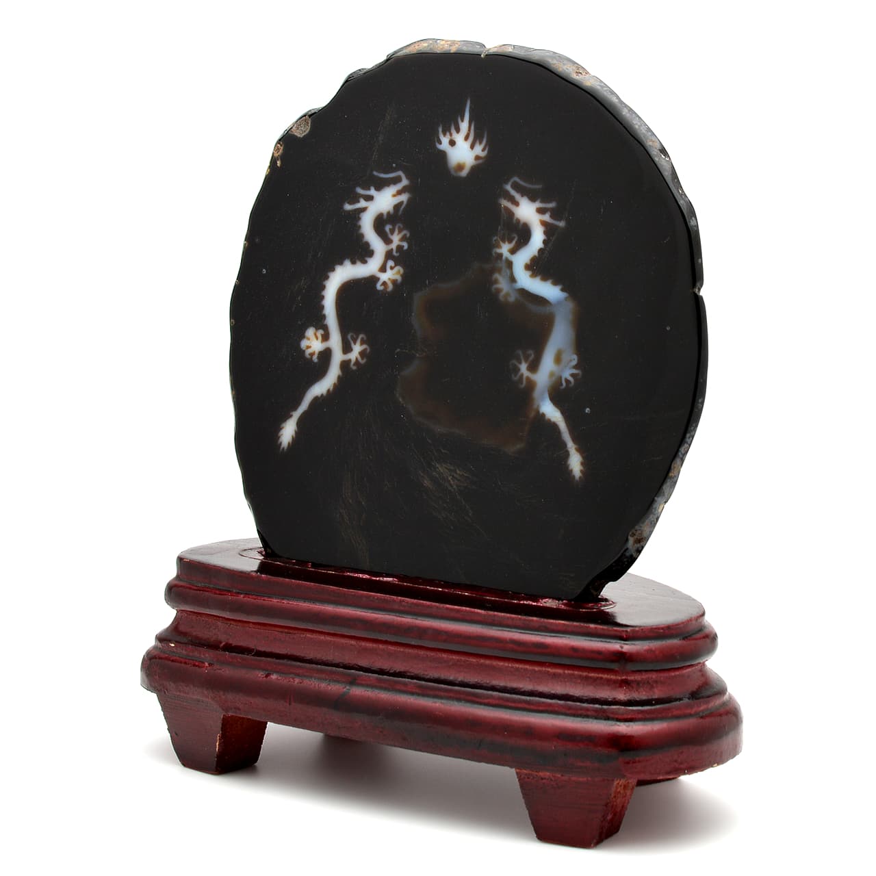 皇帝龍天珠(龍神天珠)五本爪 板状タイプ - 約13.5cm【台座付