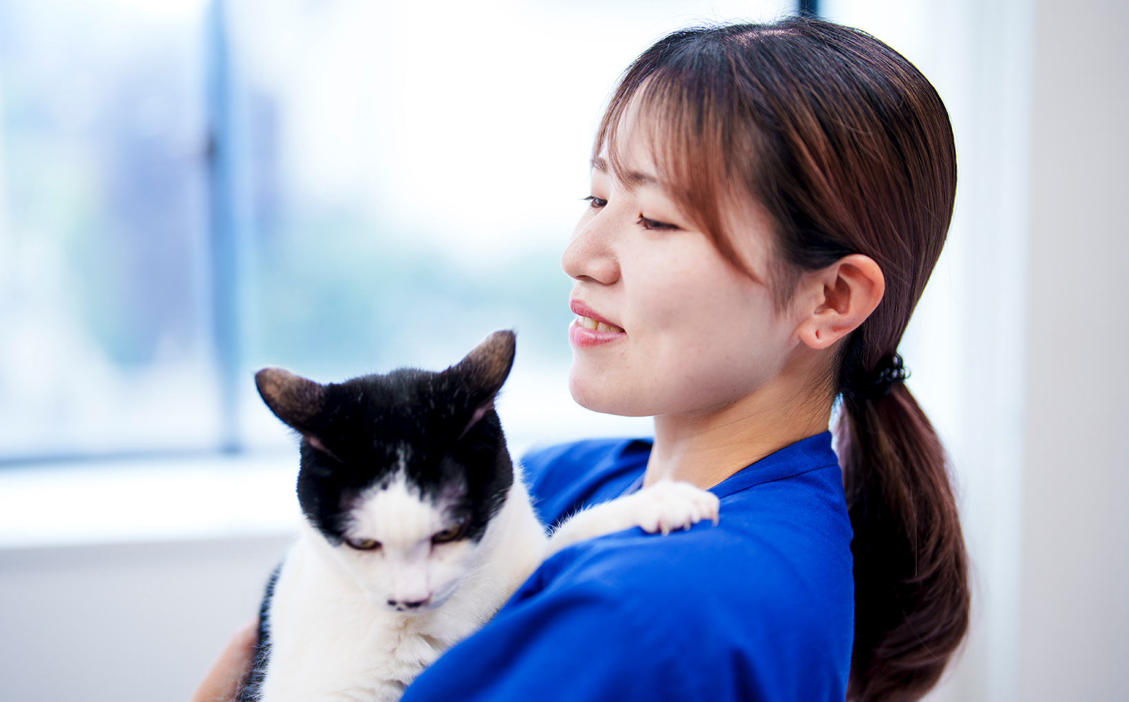 診療案内｜一般診療から高度外科・専門外来まで対応｜鈴木犬猫病院