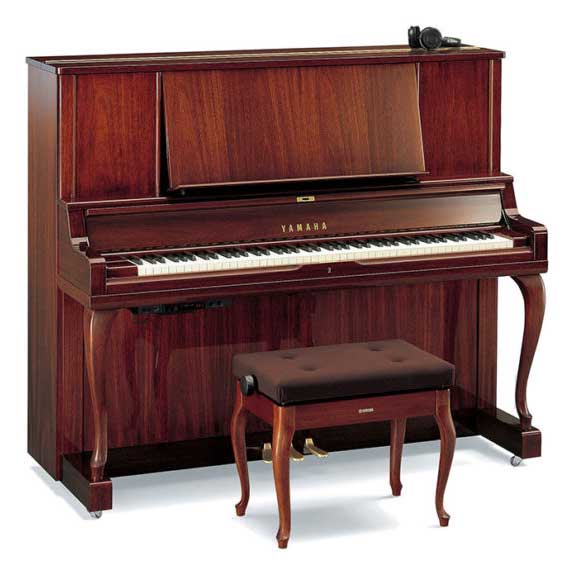 クリスマスセール2022 町田店 | スガナミ楽器 町田店 | スガナミ楽器