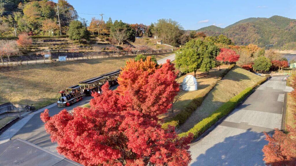 やまなみ五湖紅葉情報2025 丹沢湖 宮ヶ瀬湖 津久井湖 相模湖 | 丹沢湖