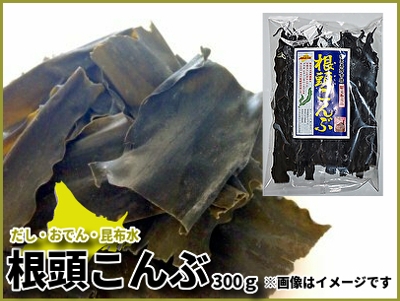 583(F583) 根頭（ねがしら）こんぶ 300g｜北海道網走水産