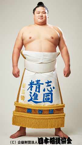 Asagyokusei Taiko - Rikishi Profile - Nihon Sumo Kyokai Official