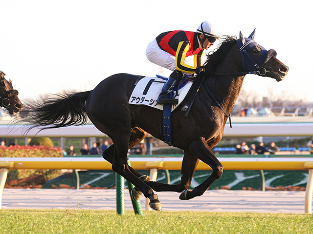 Sunday Thoroughbred Club サンデーサラブレッドクラブ