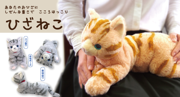 ひざねこ - サンレモン