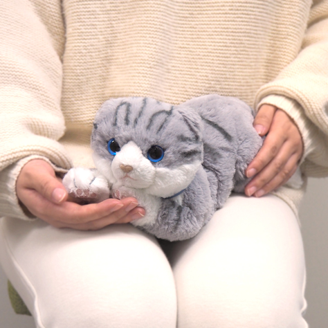 ひざねこ ぬいぐるみ(S) スコティッシュフォールド GY - サンレモン