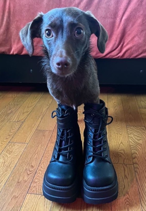 取り寄せ]SHAKER-52 / ビーガンレザー / 厚底ブーツ【DEMONIA