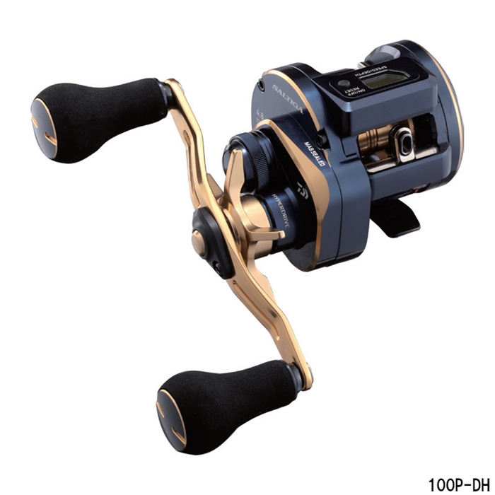 ダイワ ソルティガ IC 100P-DH 右ハンドル [2021年モデル] - 釣具の