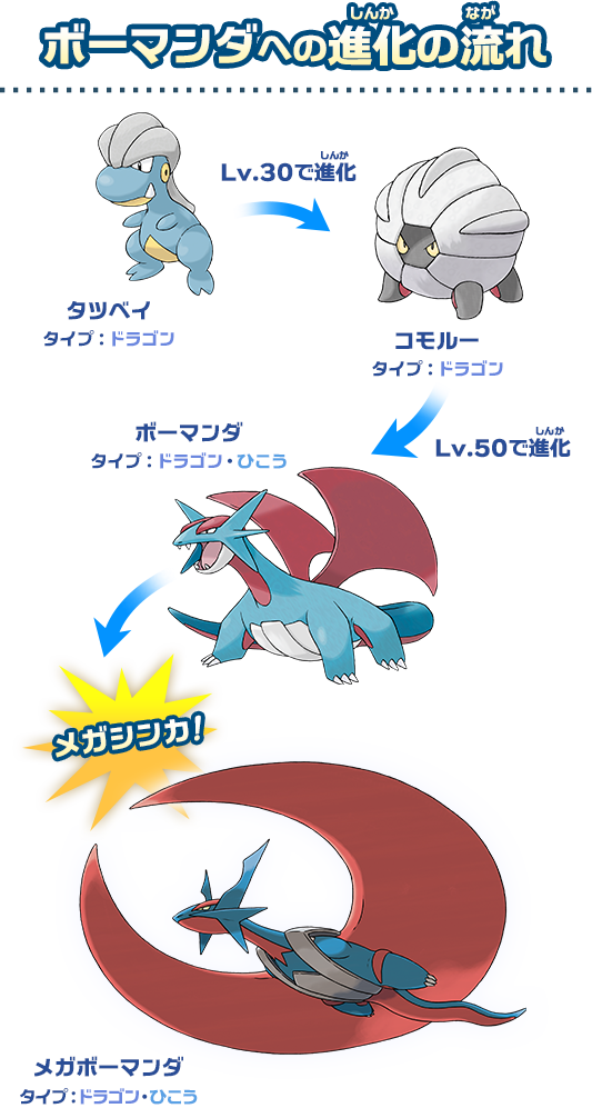 ボーマンダ｜ドラゴンタイプポケモンバトル研究所｜燃えよ！ドラゴン