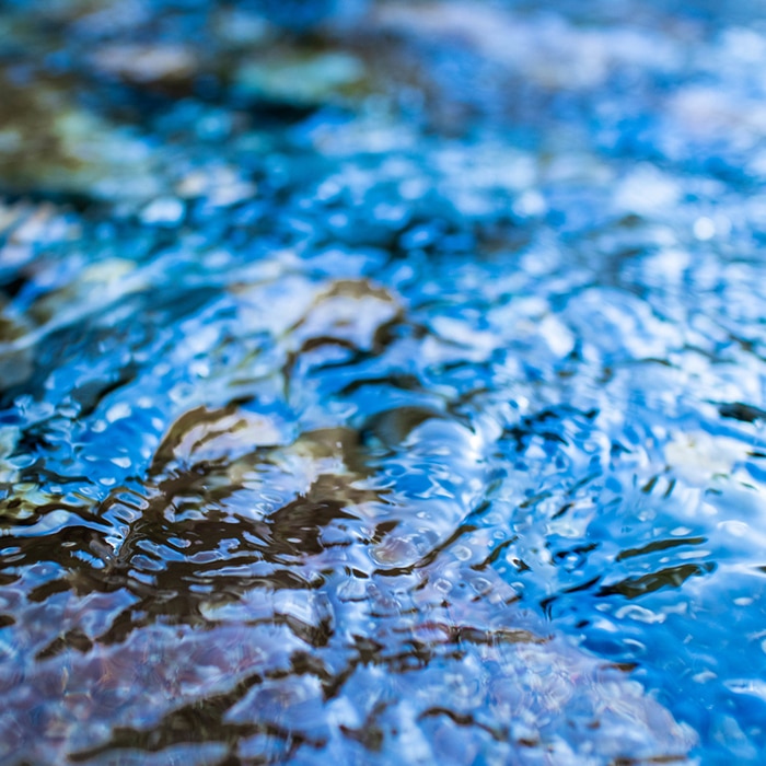 イウゲン シャンプー: 商品詳細 | ポーラ公式 エイジングケアと美白