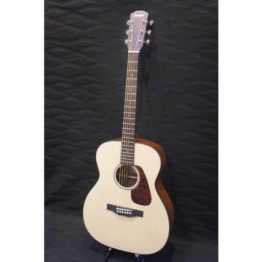 Morris F-1/NAT 商品詳細｜楽器の店ポンポロプー｜初心者から上級者