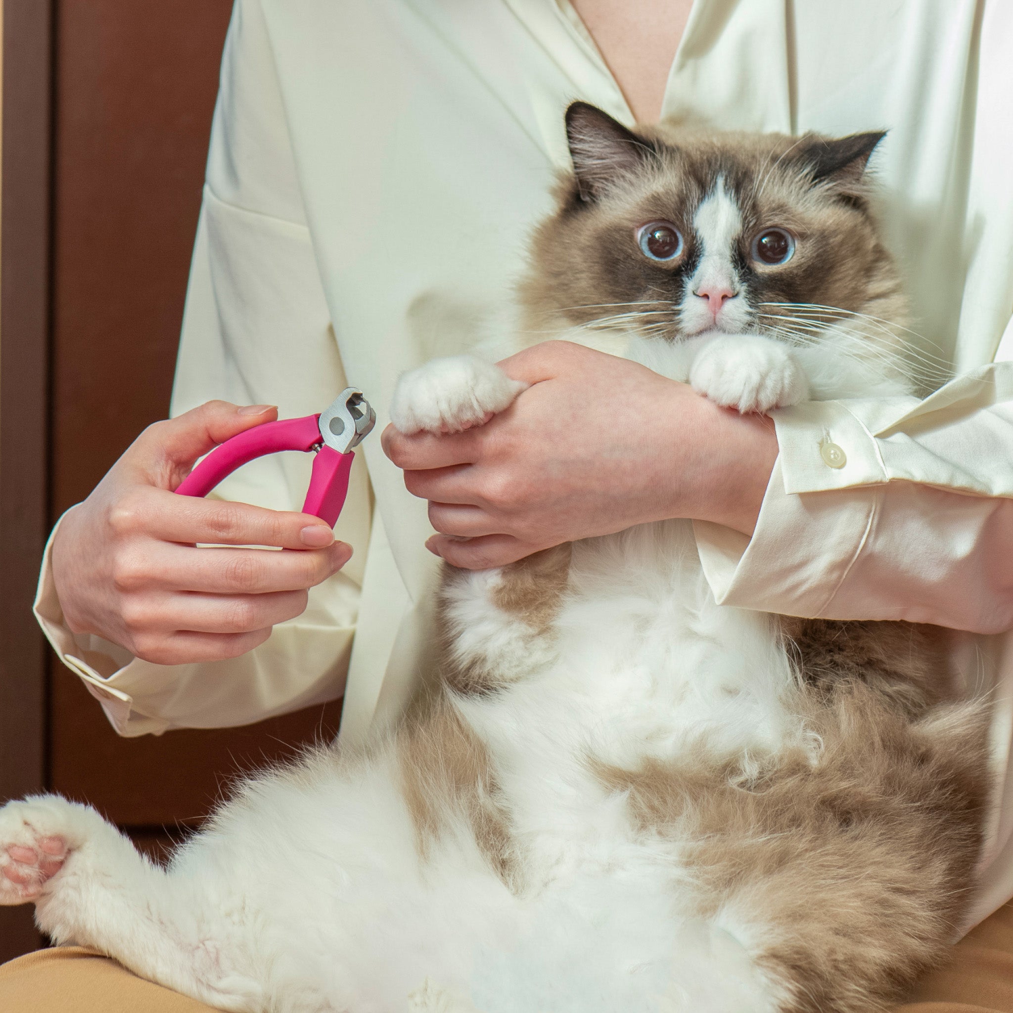 諏訪田製作所 猫用爪切りニッパー【国産】パチンとならない爪切り｜ぽ