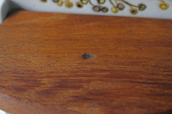 PetaPeta北欧雑貨ショップ＞＞ロイヤルコペンハーゲン＞＞バッカ＞＞塩入れ