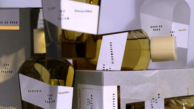 norddu_KZYGURA_news_top-thumb-