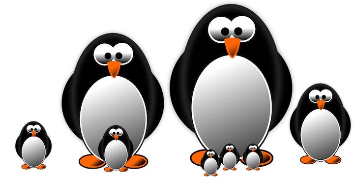 ペンギンリーダーズ300冊総まとめ〜初心者からの英語多読〜 | 海外大学