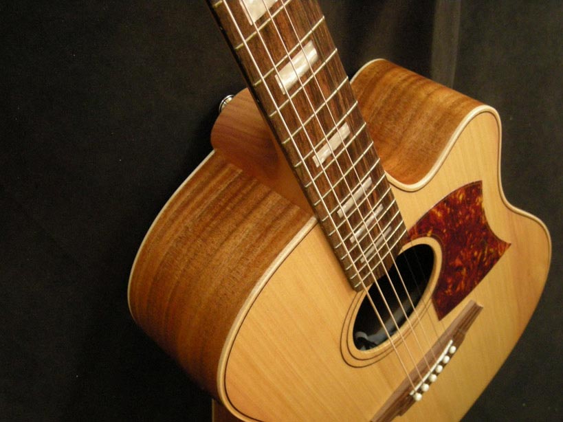 Paramount Guitars: Instrument detail - Cole Clark FL2AC