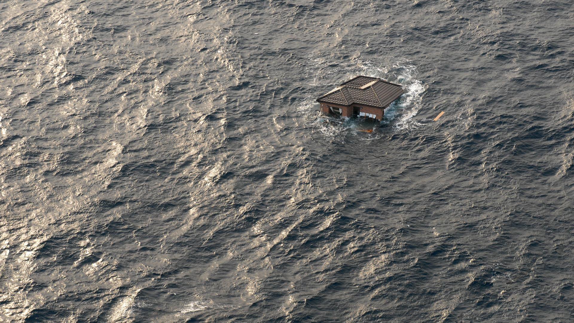 Surviving the Tsunami | NOVA | PBS