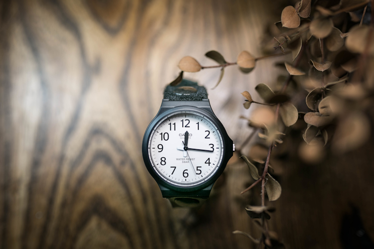 チープカシオ/ベロアとヌメ革の2TONE腕時計/アナログ針/レトロブラック