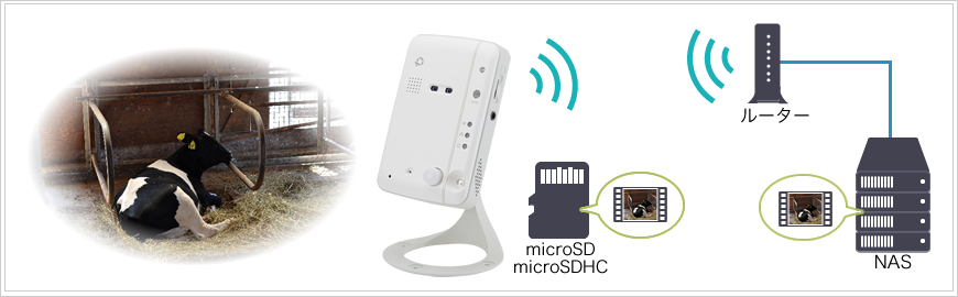 カメラ一発！｜CS-W60HD｜PLANEX