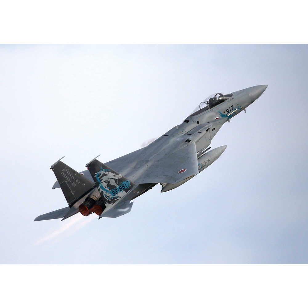 プラモデル :: 飛行機 :: 航空自衛隊 F-15Jイーグル 第303飛行隊 2022