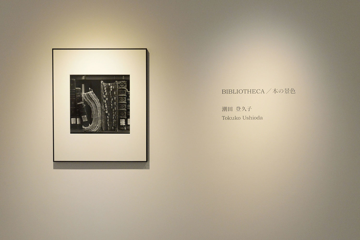 PGI | BIBLIOTHECA／本の景色