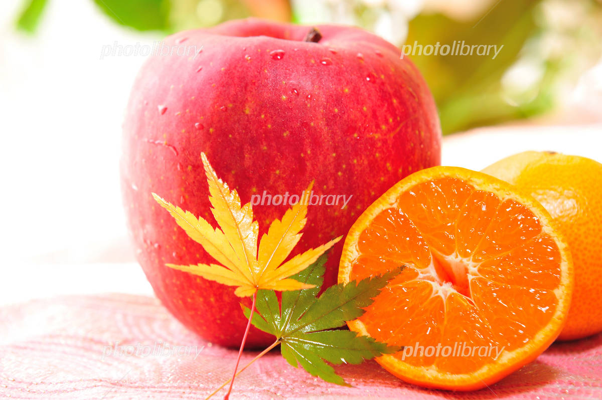 りんごとみかん 写真素材 [675905] - フォトライブラリー