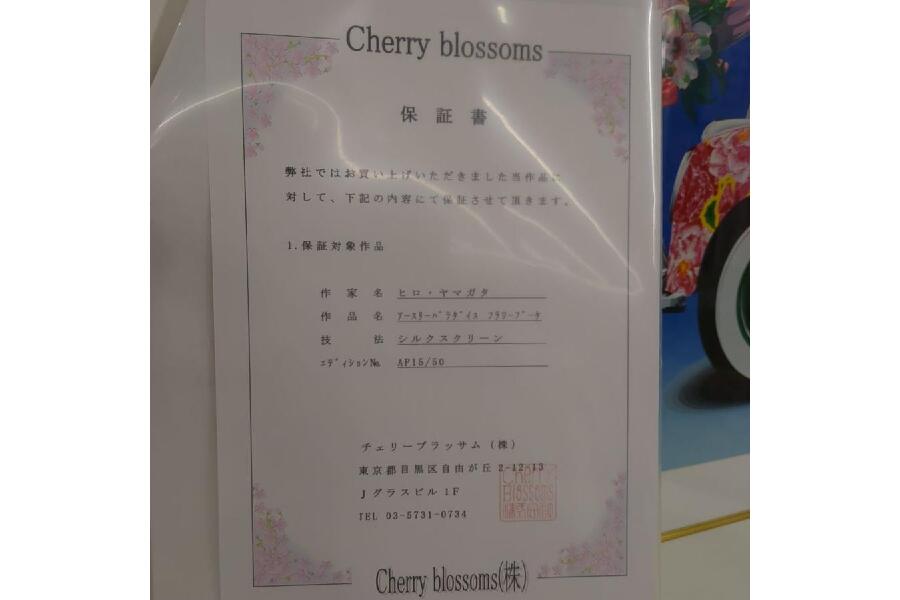 真作保証 ヒロ ヤマガタ シルクスクリーン アースリーパラダイス