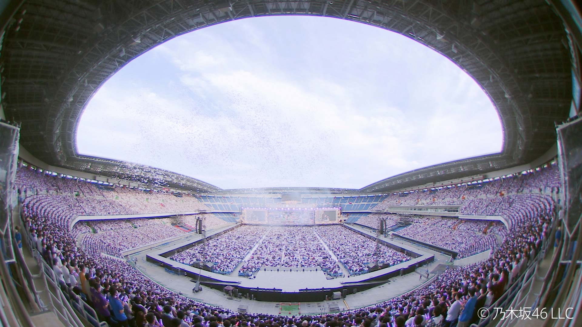 乃木坂46 10th YEAR BIRTHDAY LIVE｜WORKS｜P.I.C.S.