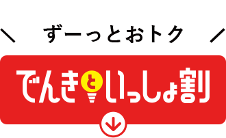 おトクな長期割引 | ピカラ光ねっと | 【公式】ピカラ（Pikara