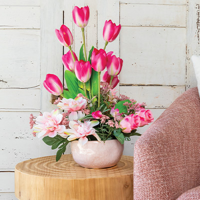 Premium Carnation Bush x7, 18.5