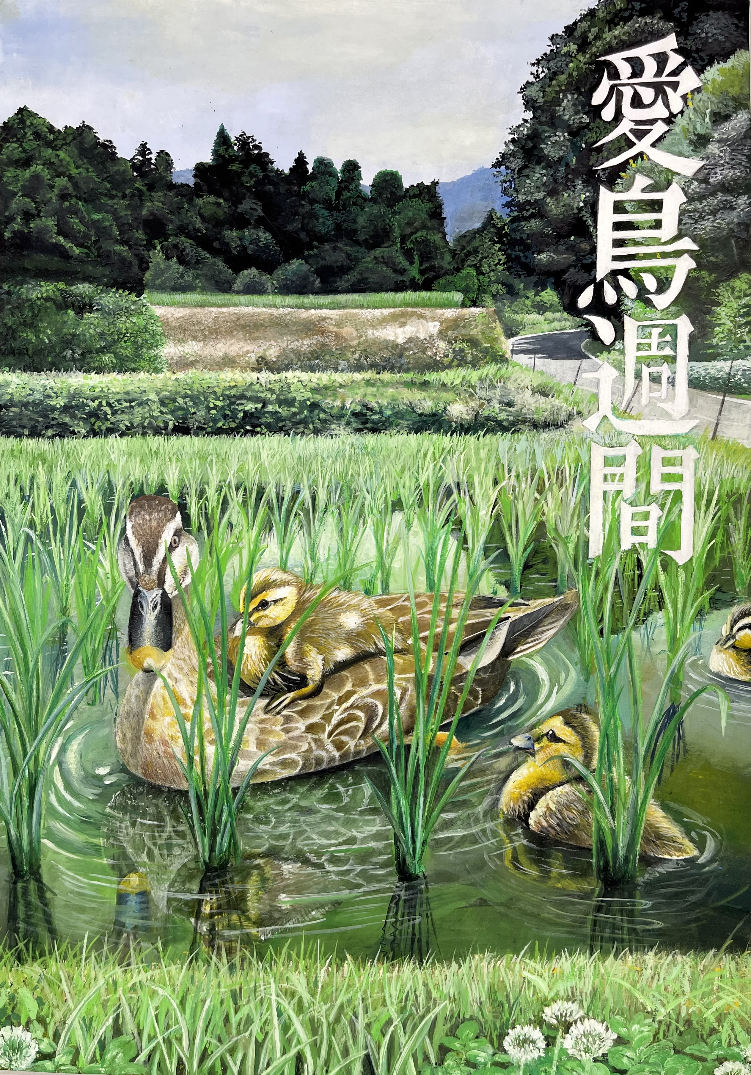 令和6年度「愛鳥週間ポスター原画コンクール」入賞作品について - 群馬