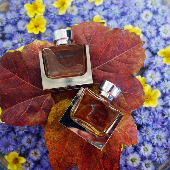 Diorella / ディオレラ