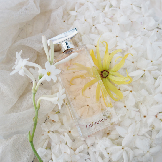 メゾンヴィオレ コンプリモン メゾン・ヴィオレ / コンプリマンの