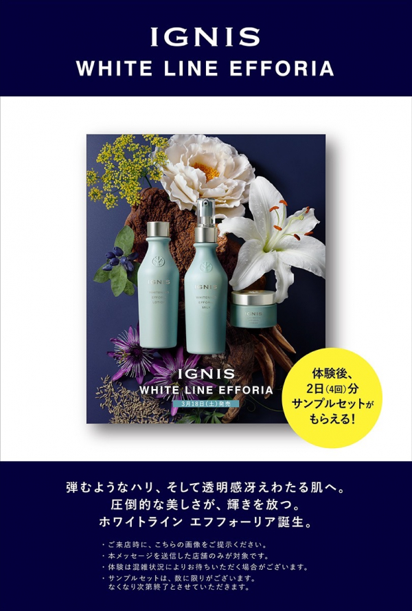 イグニス】ホワイト ライン エフフォーリア デビュー！！ | BLOG