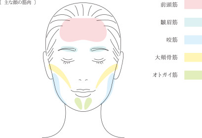 リファリズム - ReFa RHYTHM | 商品情報 | ReFa（リファ）公式ブランド