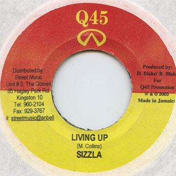 Sizzla - Living Up(7