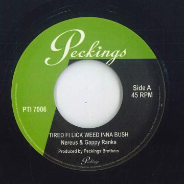 レゲエレコードコム | レゲエと黒人音楽の総合店ダブストア