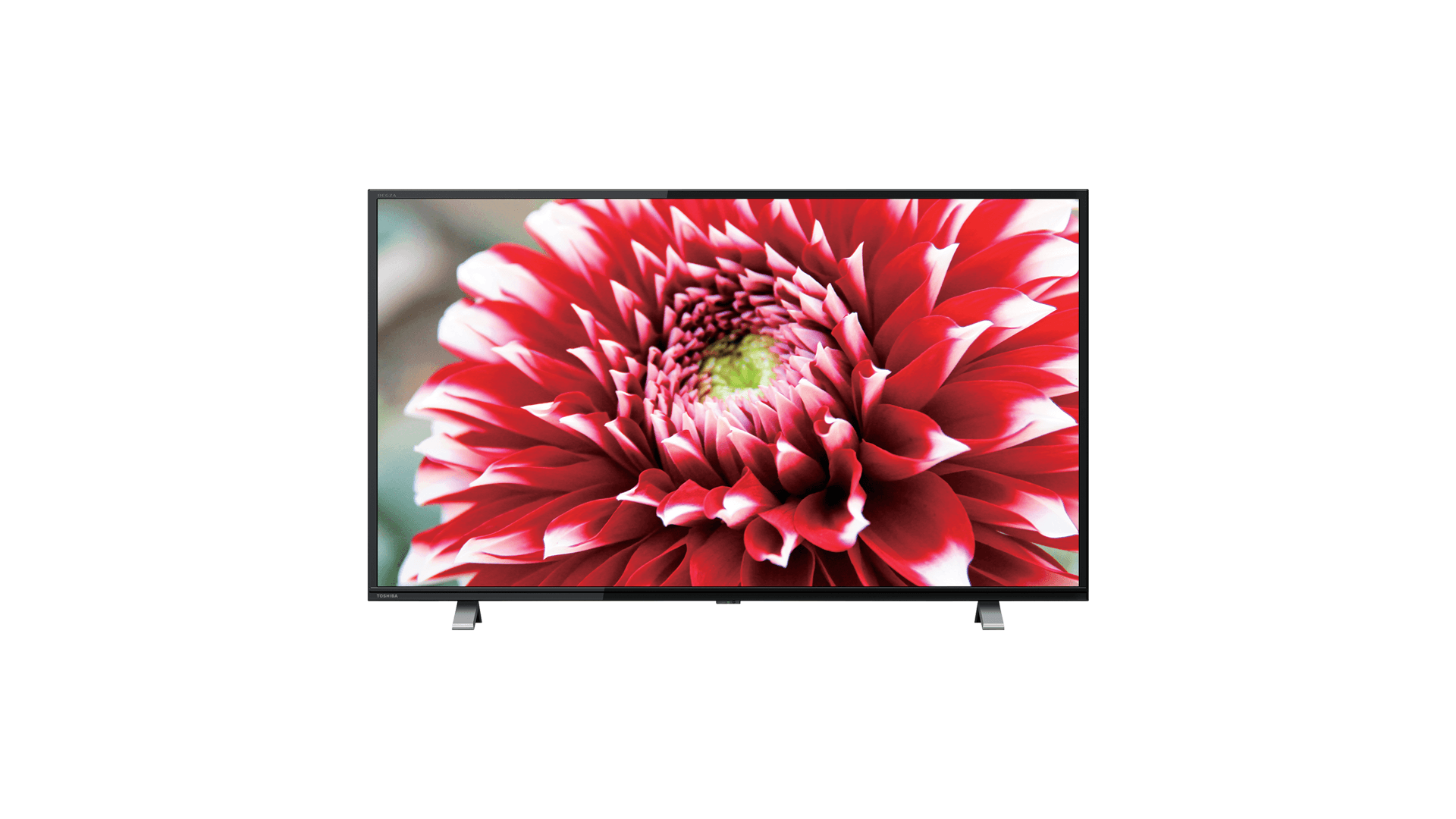 東芝 REGZA 32V34 2023年製 32インチ 液晶テレビ ☆TOSHIBA / 東芝 REGZA 32V34 [32インチ]【薄型テレビ】【送料無料