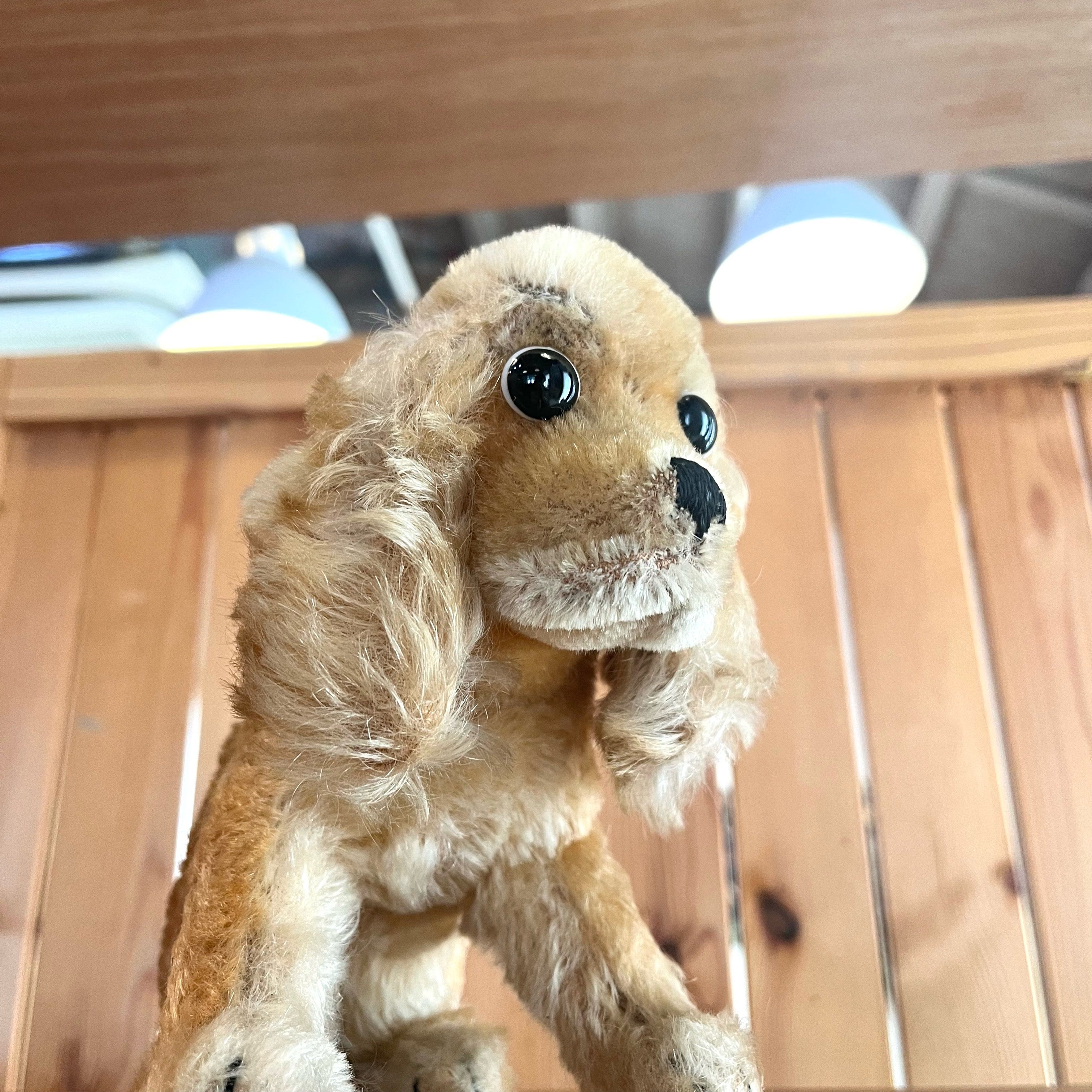 シュタイフ / Steiff 見つめる スパニエル ぬいぐるみ ドイツ