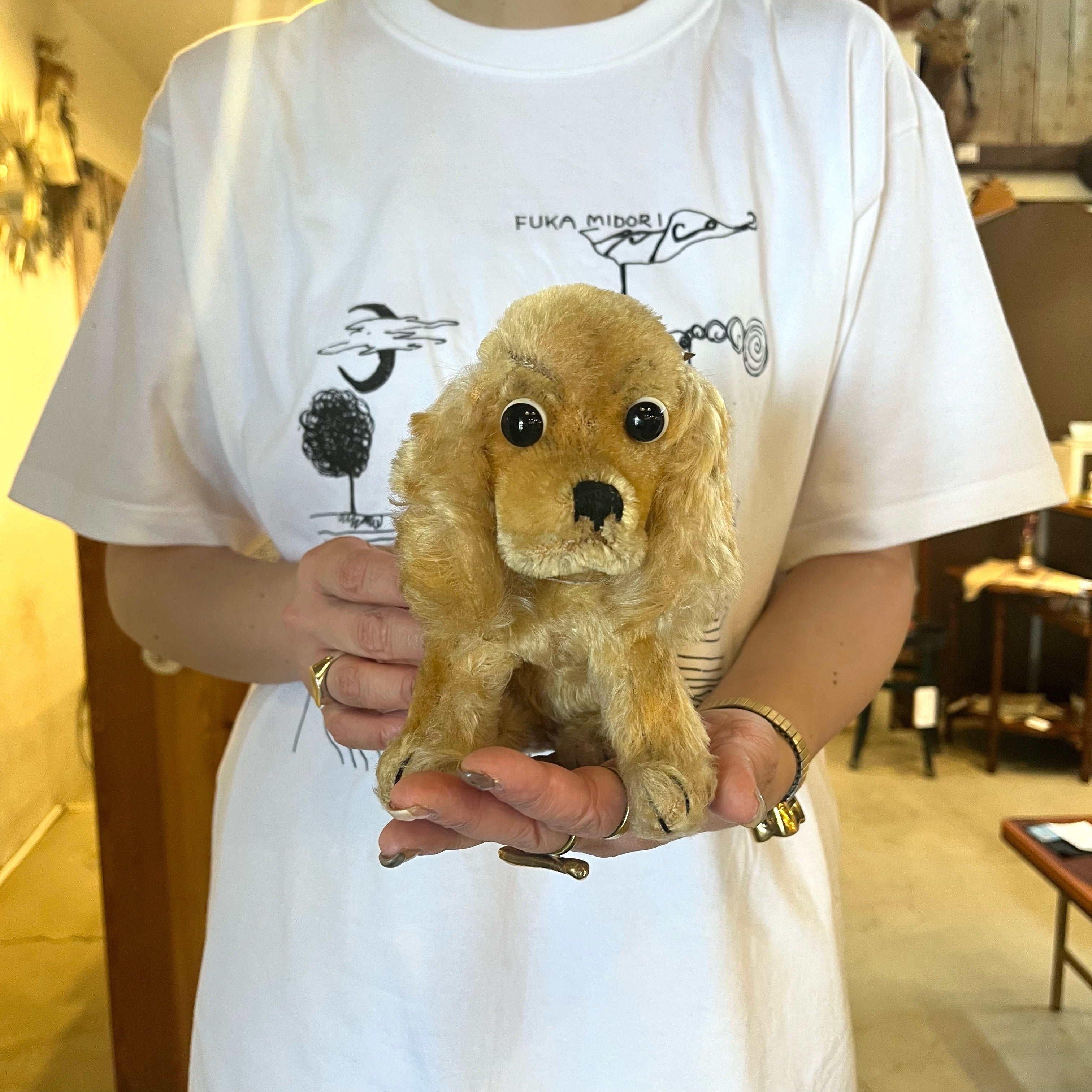 シュタイフ / Steiff 見つめる スパニエル ぬいぐるみ ドイツ