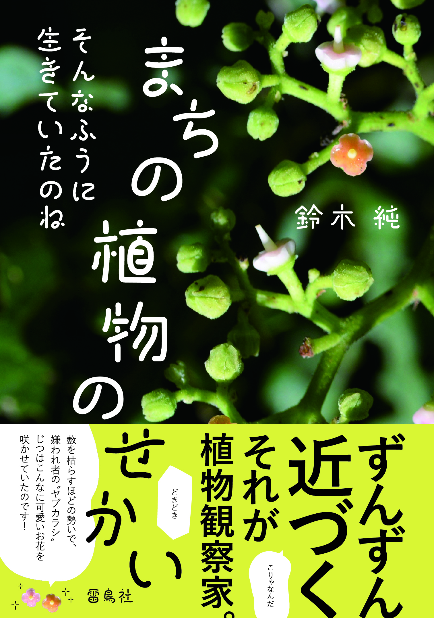 そんなふうに生きていたのね まちの植物のせかい | タグ「自然科学