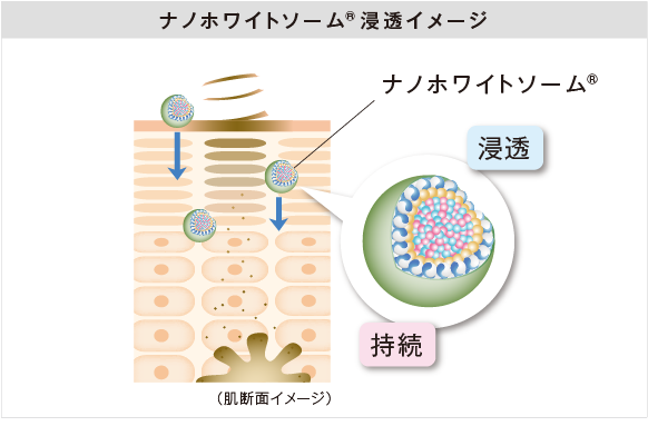 ナノホワイトセラム｜MESOCEUTICAL-メソシューティカル-