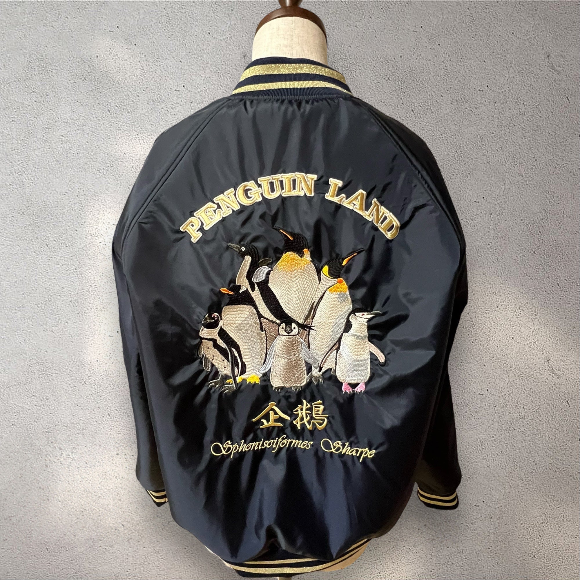 IMG-0807.jpg?v=1736811171&