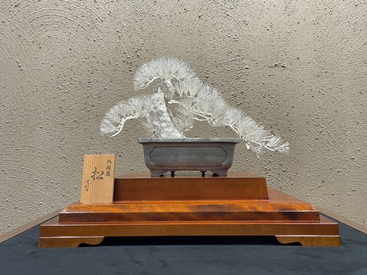 大淵武則 作 『純銀製 松』 買取価格相場｜骨董品買取 緑和堂