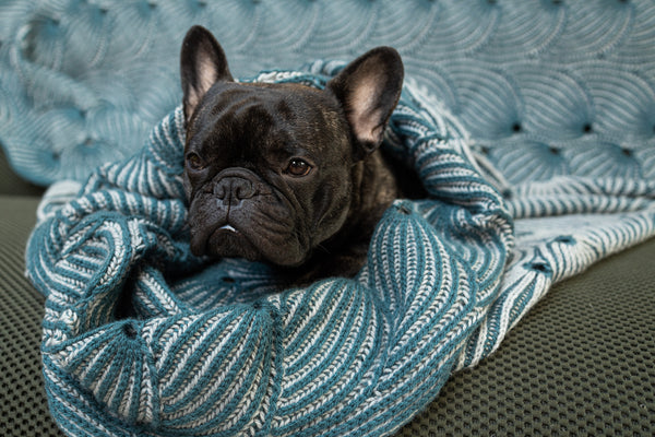 Flying Foxtail Blanket - Westknits