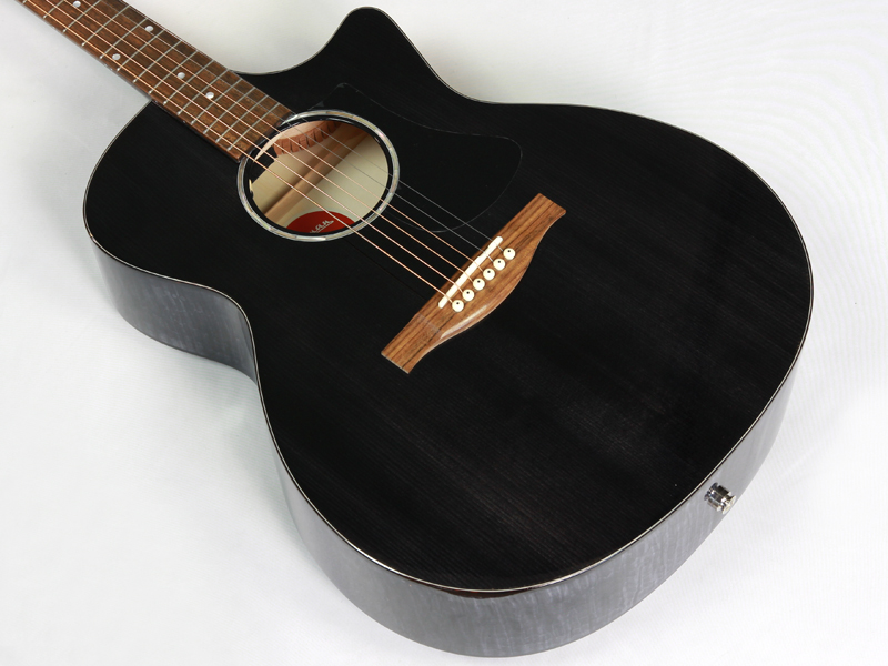 EASTMAN イーストマン PCH3-GACE Trans Black アコースティックギター