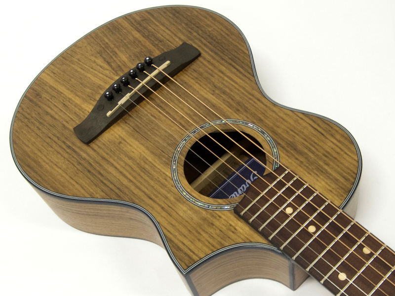 Ibanez アイバニーズ EWP14WB ミニ・ アコースティックギター 送料無料