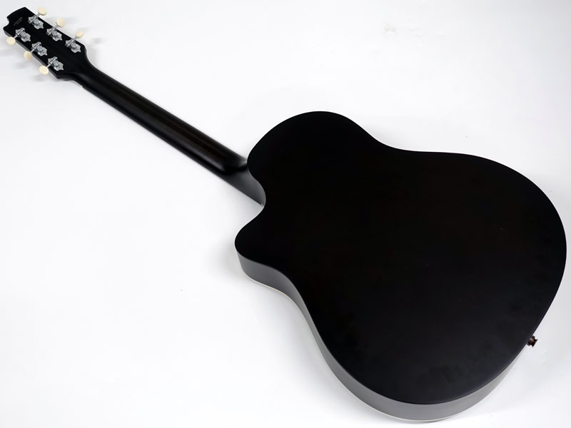 たけC FGN AG1E たけC FGN AG1E FGN ACOUSTIC AG1E TWF Transparent