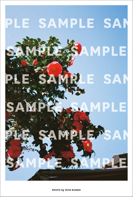 小関裕太 アーカイブブック『Y』2025年7月10日(木)発売