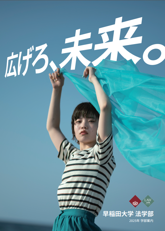 早稲田大学 法学部 2018年版他13冊 プラスおまけ1冊 バラ売り可能