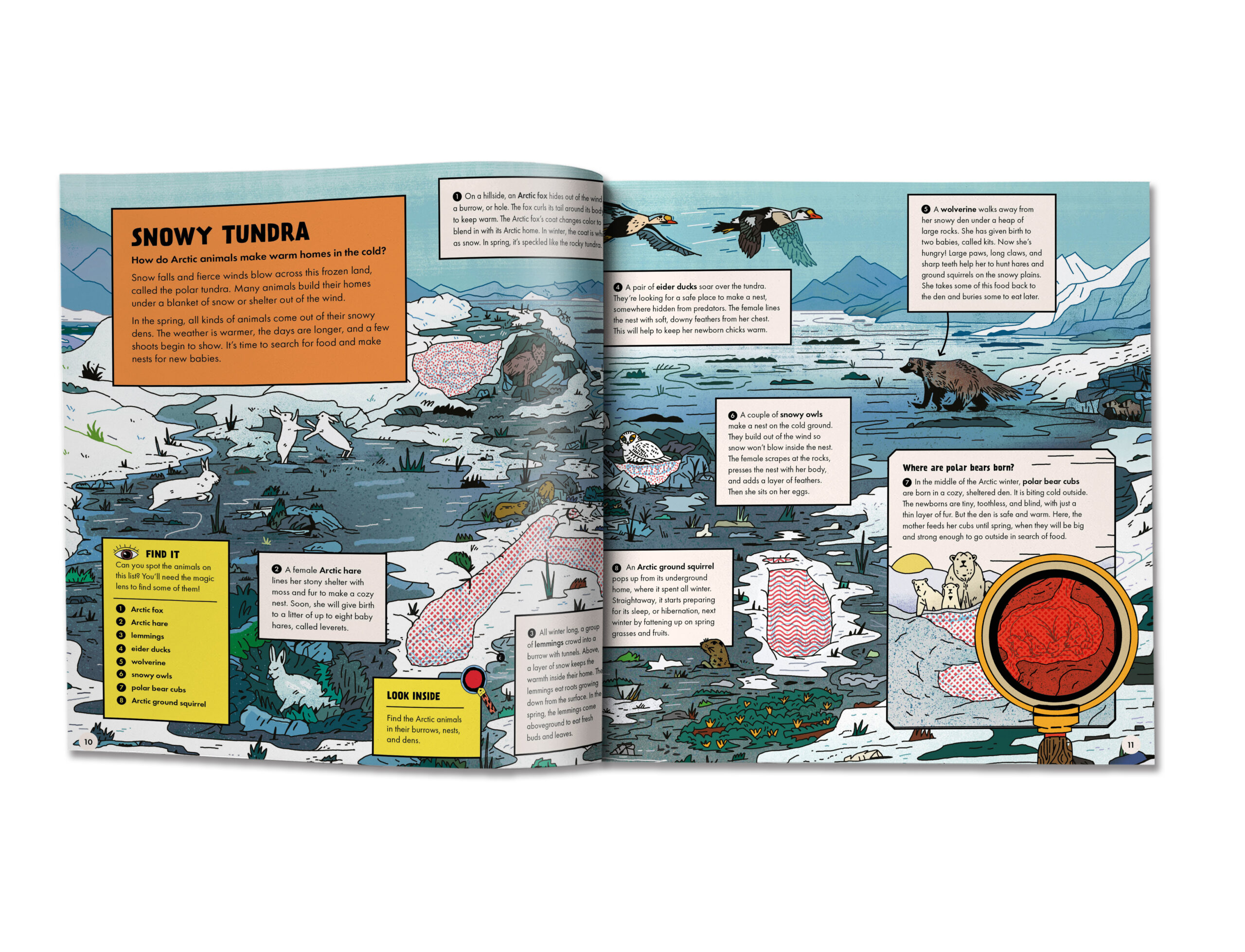 Marvelous Animal Homes - What on Earth! What On Earth? Books